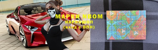 ALPHA PVP Покачи