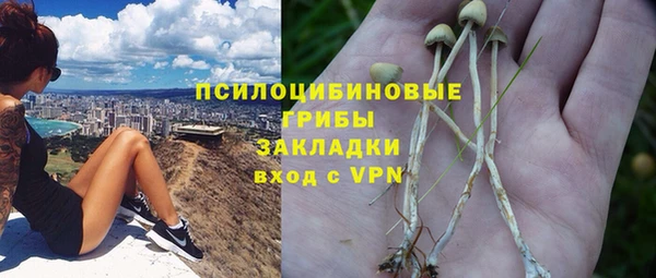 apvp Пестово