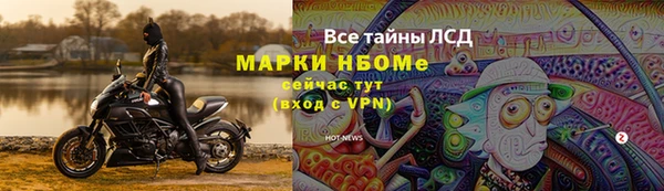 ALPHA PVP Покачи