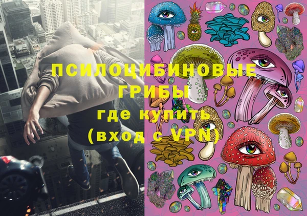 ALPHA PVP Покачи